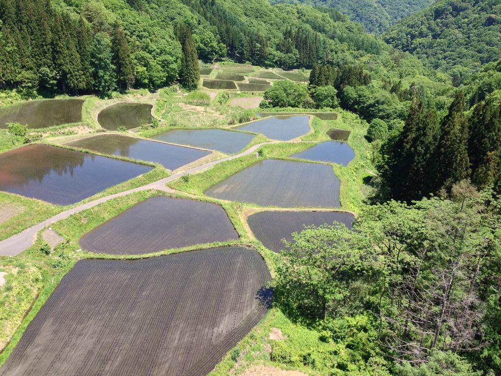 リゾートホテル　ラ・フォーレ白馬 白馬村 エクステリア 写真